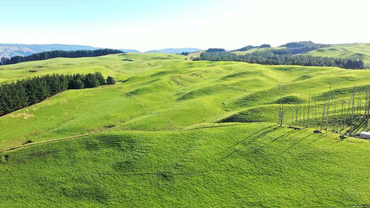 2029 Matapiro Road Crownthorpe_21