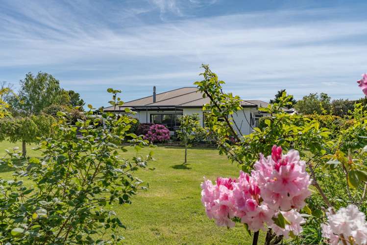 5 Camellia Lane Carterton_18