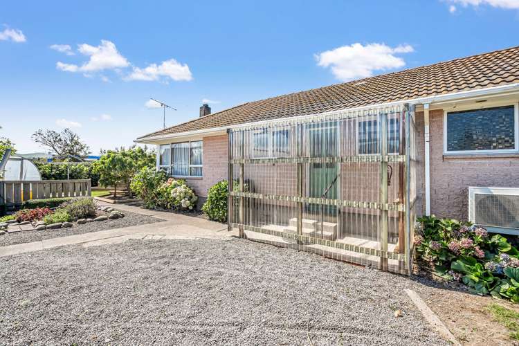 21 Montrose Avenue Culverden_20