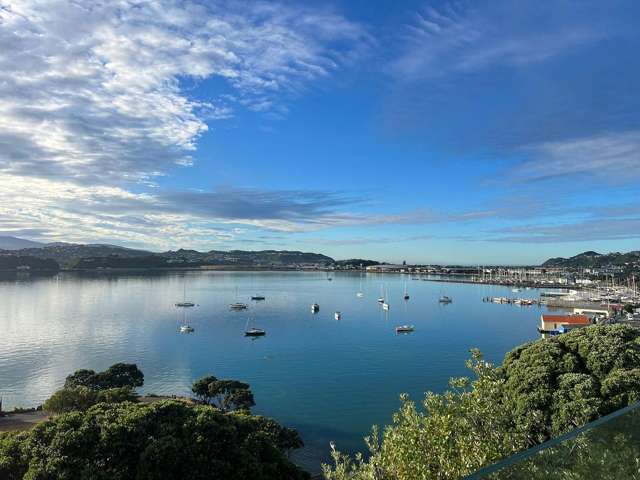 43C Rata Road Hataitai_1