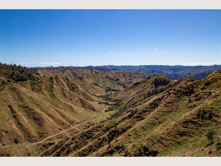 608 Upper Retaruke Road Ruapehu-King Country Surrounds_15