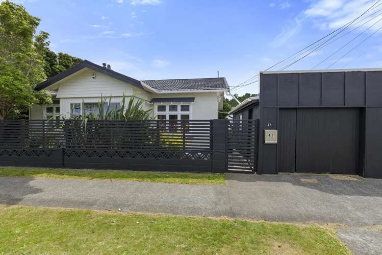 47 Heretaunga Street Petone_0