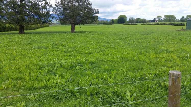 336 Te Aroha-Gordon Road Hauraki Surrounds_9