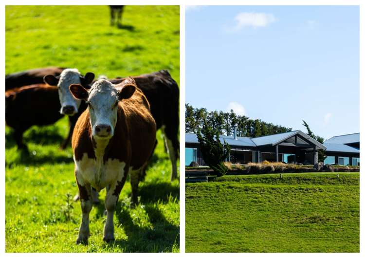 193 Capamagian Drive Athenree_31