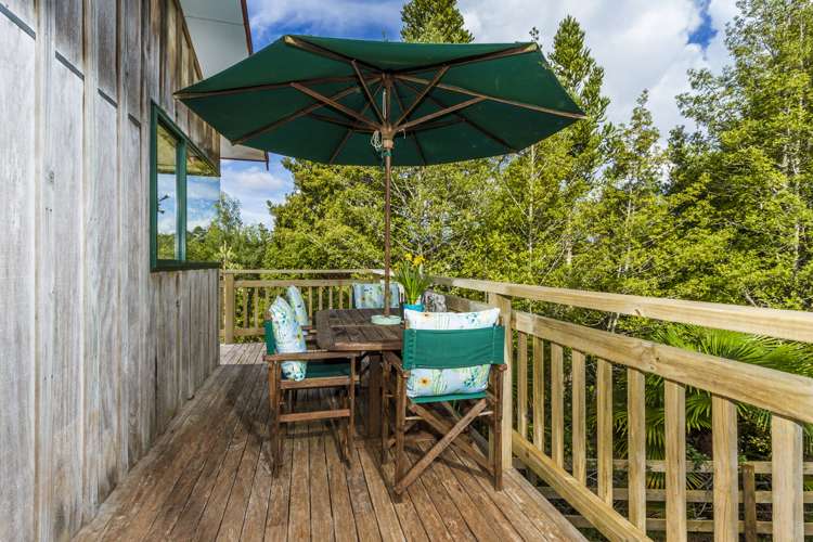 269 Wright Road Dairy Flat_11