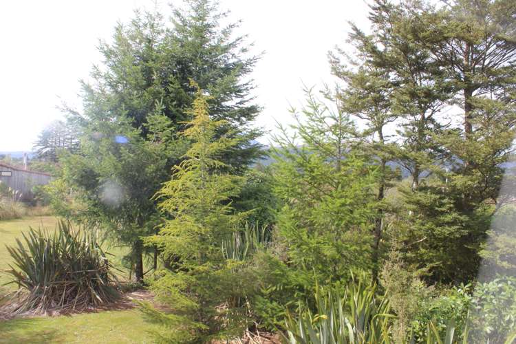 27a Kirk Street National Park_18