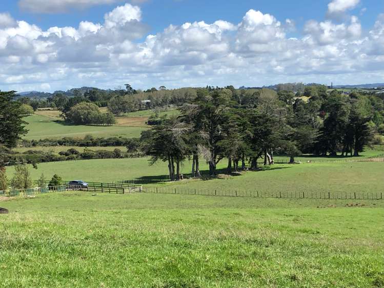 8 Bobs Way Dairy Flat_11