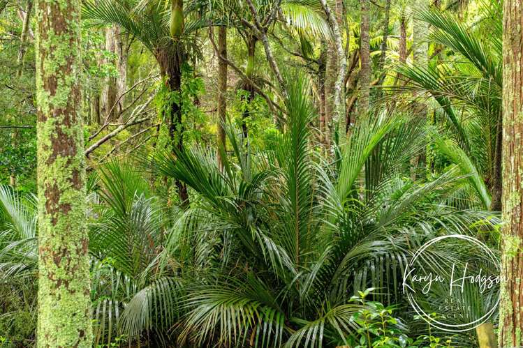 14 Woodland Road Maungaturoto_36