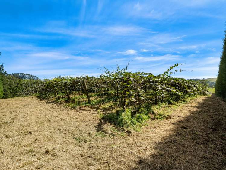 449 Crawford Road Te Puna_18