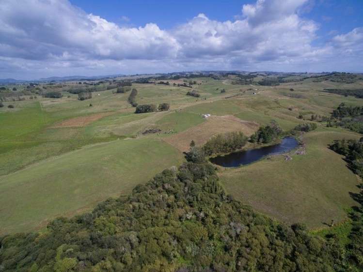 137 Sanson Road Ruawaro_14