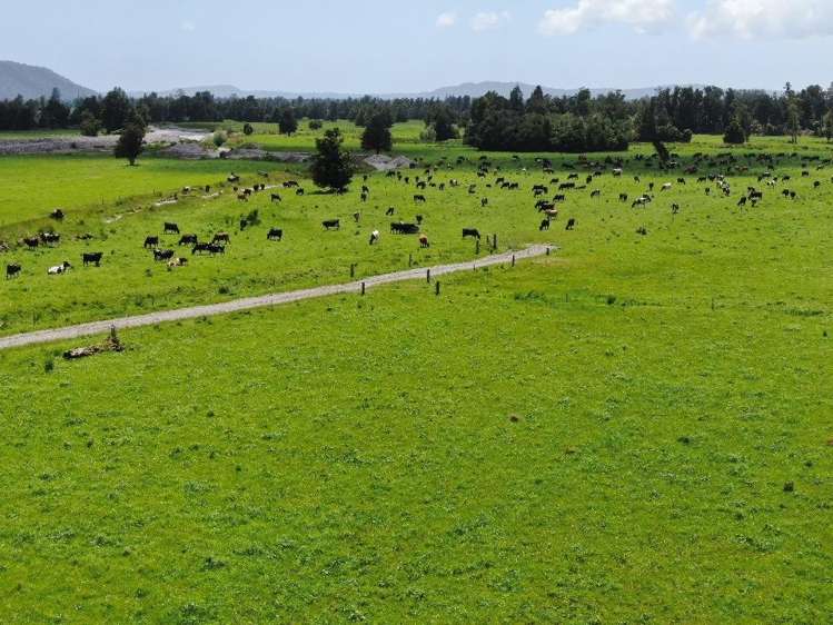 2778 Whataroa Highway Whataroa_13