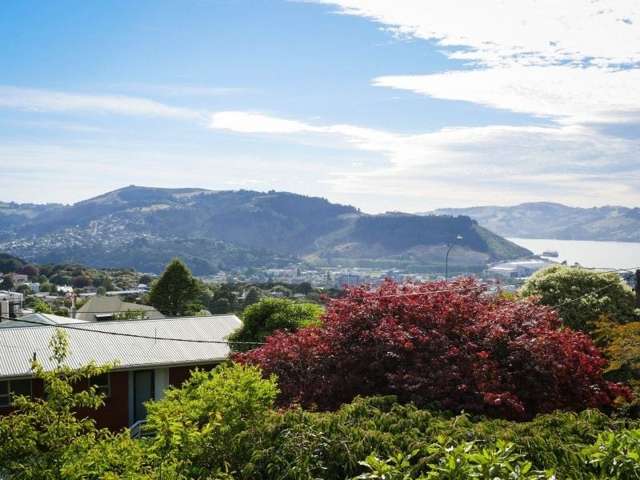 26 Charlotte Street Roslyn_2