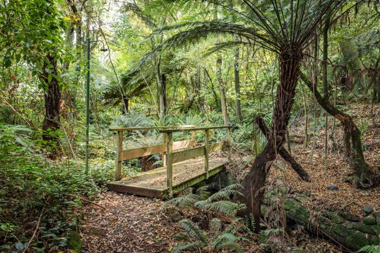 52 St Leonards Drive St Leonards_26