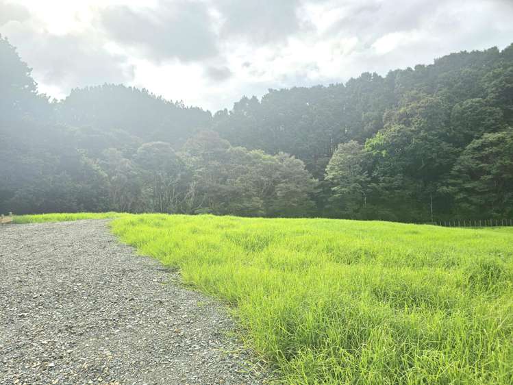 Lot Lot 1/675 Gorge Road Maungaturoto_31