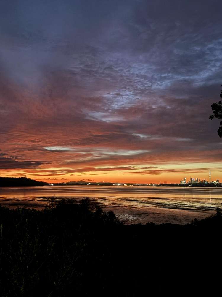 36 Dawnhaven Drive Te Atatu Peninsula_33