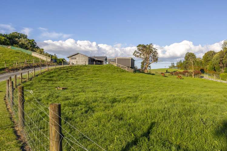 44B Crosland Road South Head_61