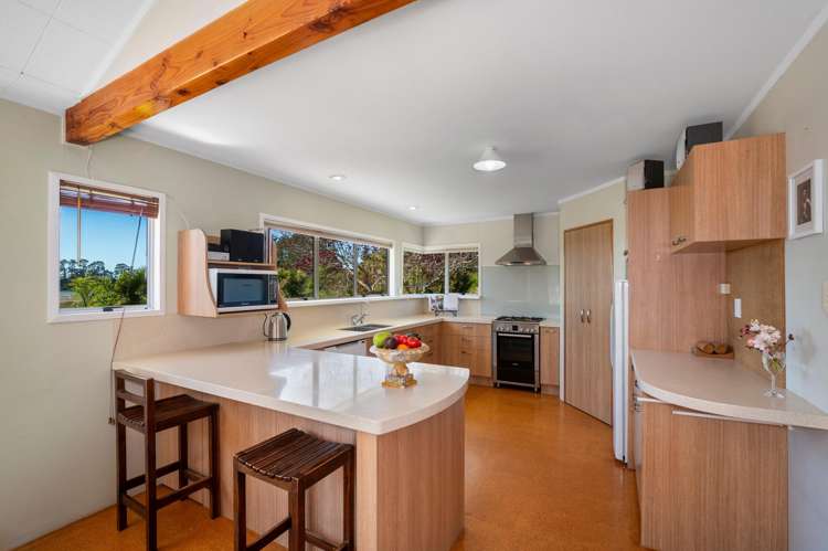105 Jess Road Whakamarama_11