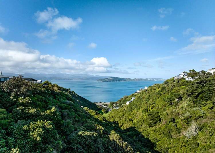 55 Lohia Street Khandallah_2