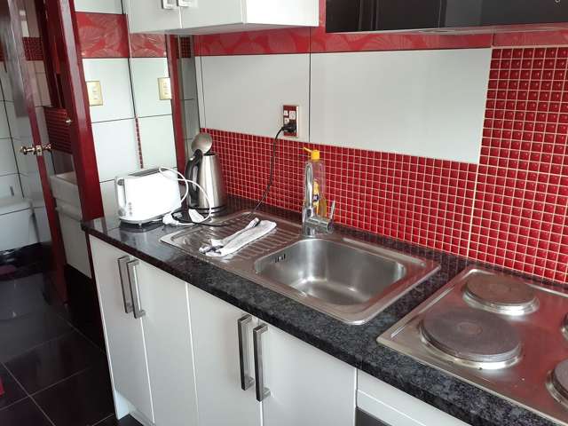 1/10 Palmer Street Aro Valley_2