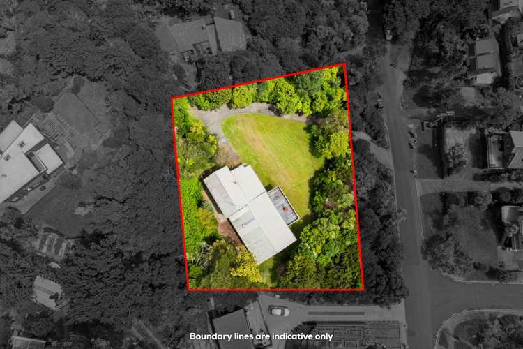 104 Balmain Road Chatswood_17