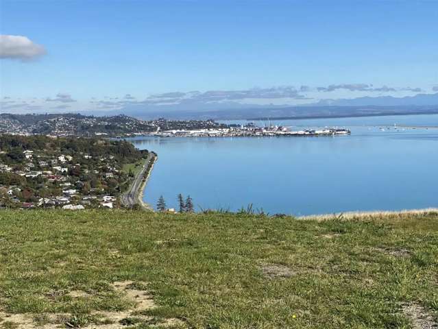 Dream Home - Spectacular Views