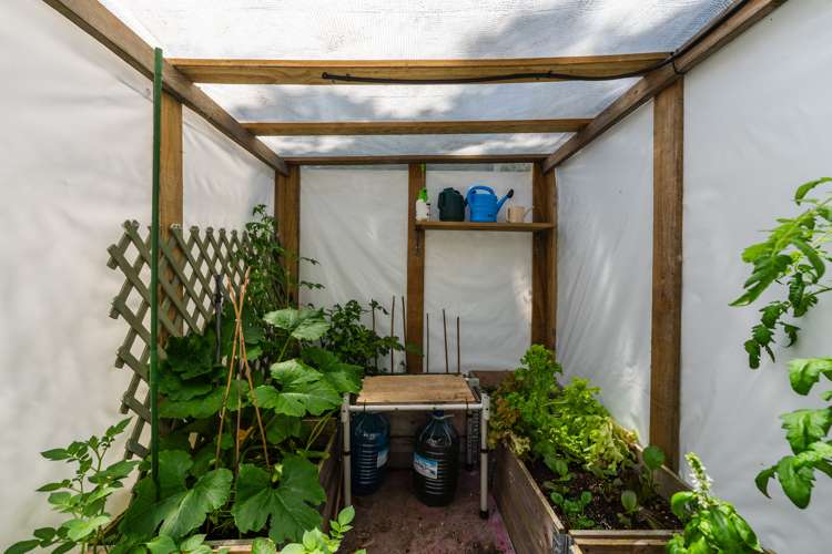 209 Tauhara Road Tauhara_8