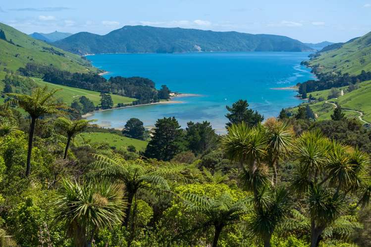 565 Anakoha Road Marlborough Sounds_2