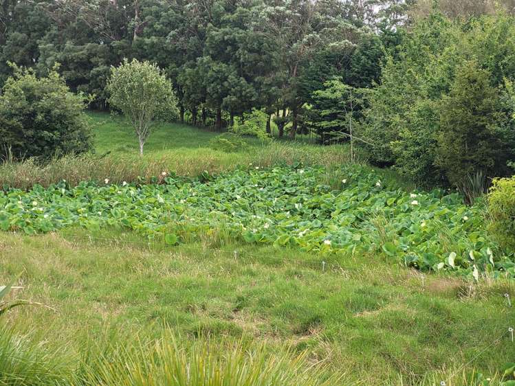 65 Rushbrook Road Ruatangata_25