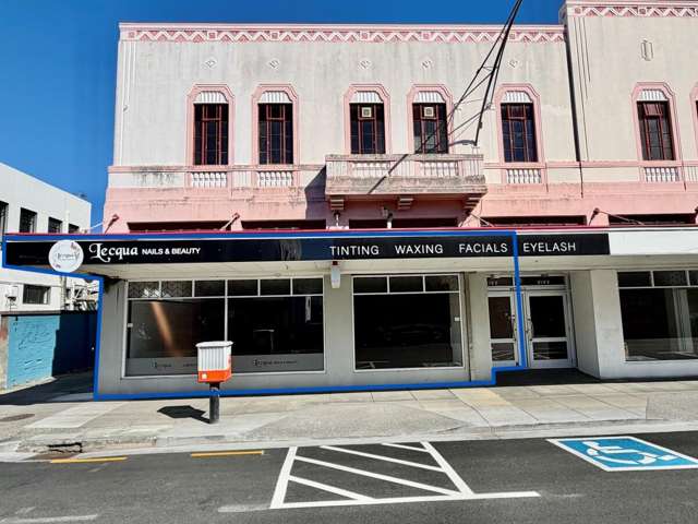 61 Dalton Street Napier South_1