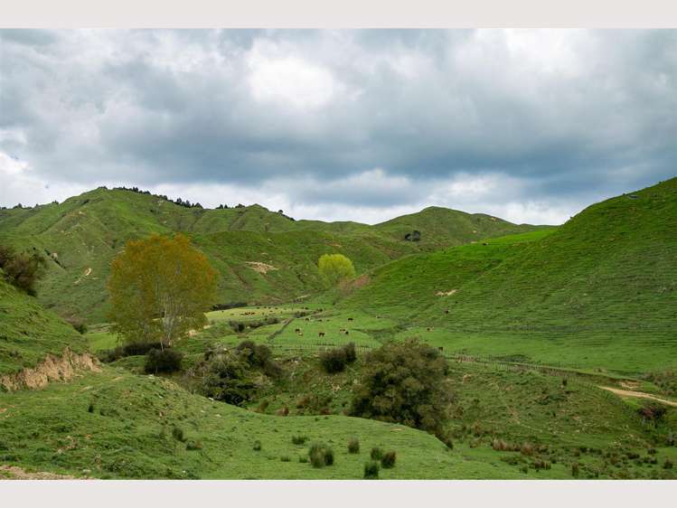 368 Kirikau Valley Road Ruapehu_1