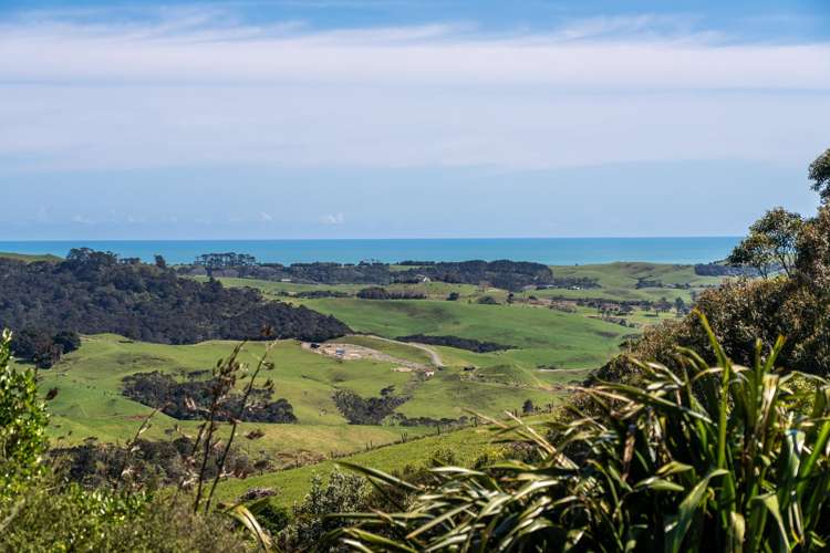 176 Maungatawhiri Road Raglan_1