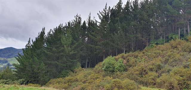 747c No 4 Road Te Puke_3