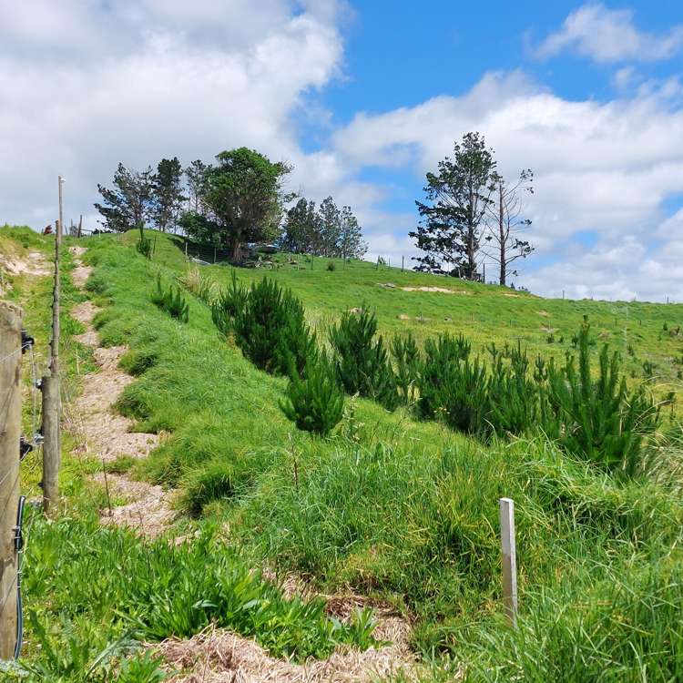 Lot 7/49 Kamea Place Maungaturoto_16