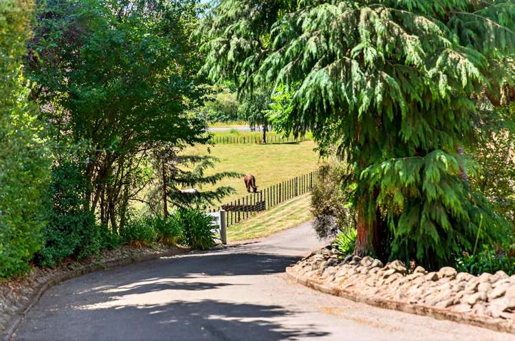 916 White Rock Road Martinborough_40