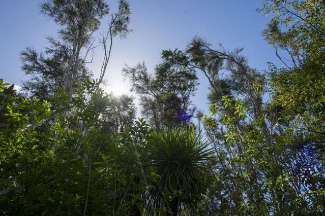 326A Matokitoki Valley Road Matokitoki_3