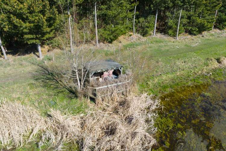 725 Raumai Road Bulls_20