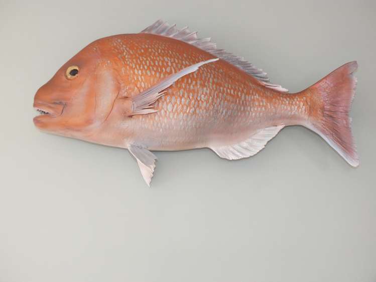 16A Edinburgh Terrace Foxton Beach_16