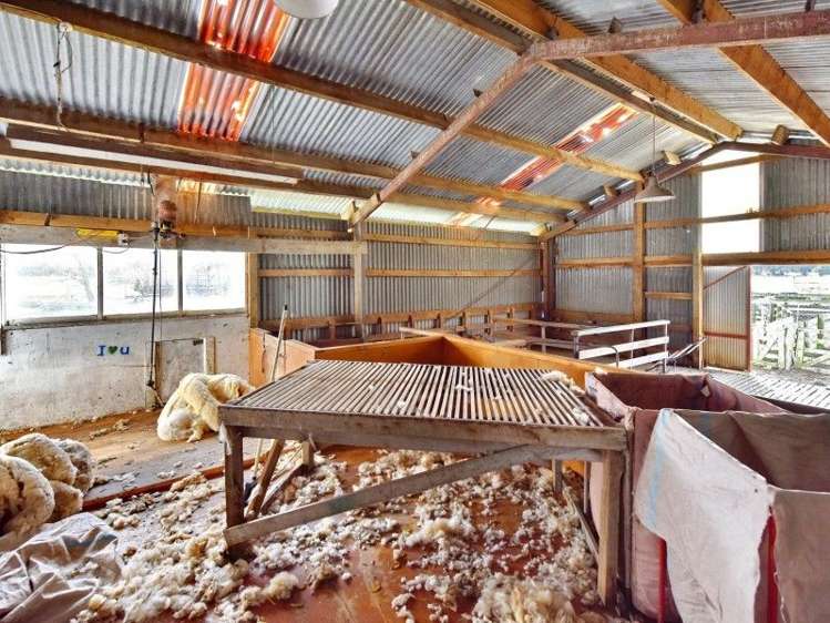 256 Lineside Road Flaxton_22