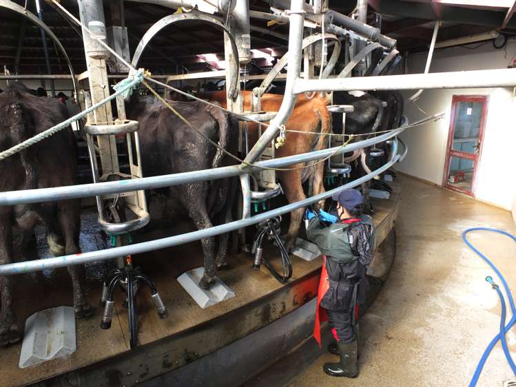 1402 Limehills Browns Road Winton Surrounds_5