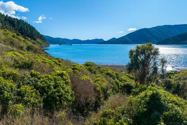 Lots 5 and 6 Otenarau Bay Arapaoa Island_2