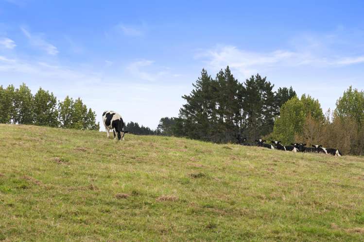 200 Gelling Road Hunua_8