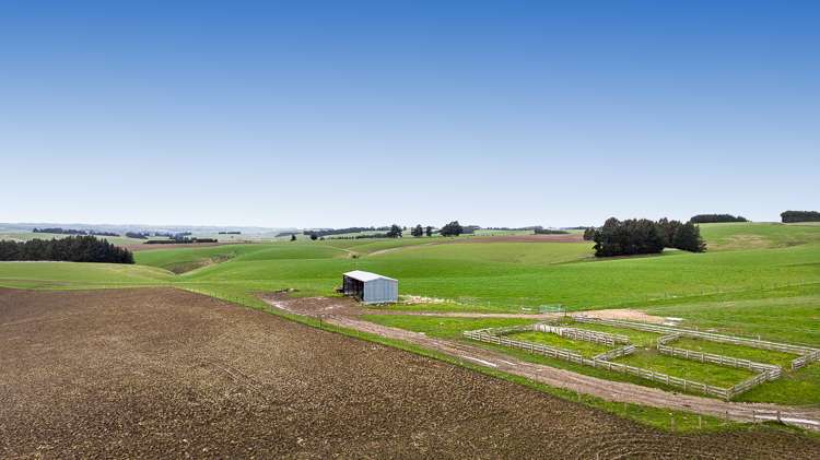 675 Black Bridge Road Clutha_18