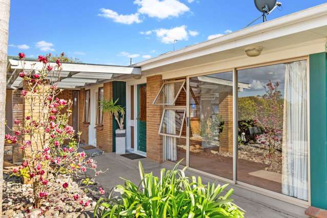 55 Walworth Avenue Pakuranga Heights_3