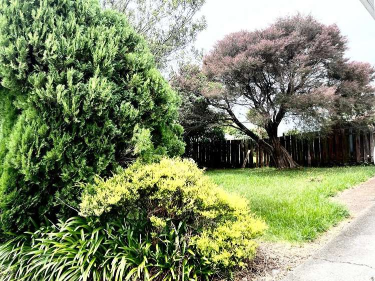 1/16 Duncan Avenue Te Atatu South_15