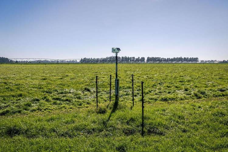 1710 Ealing Montalto Road Ashburton_30