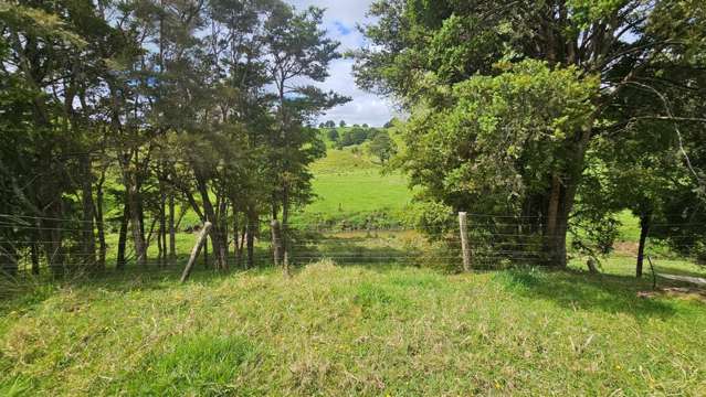 1247 Kirikopuni Valley Road Tangiteroria_3