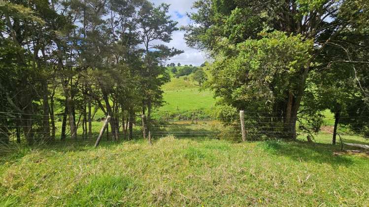 1247 Kirikopuni Valley Road_3