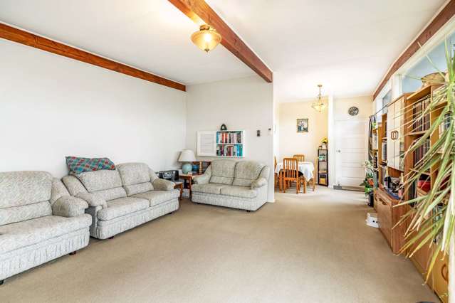 65 Skerman Street Marton_4