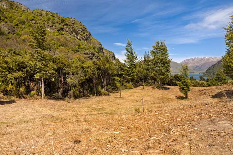 19 Haast Eagle Road Bobs Cove_9