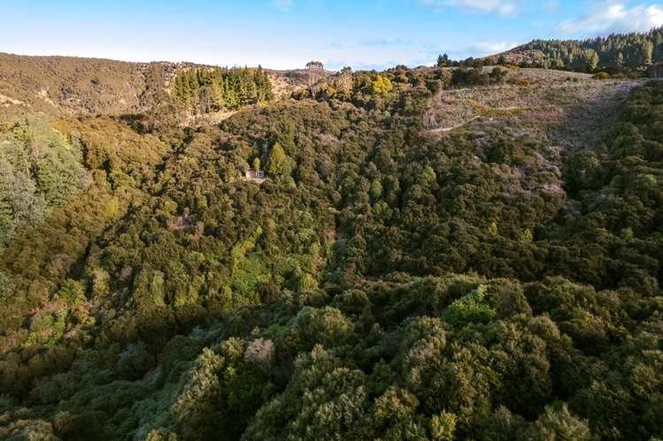 Section 24 Duncan Road Hampden_5